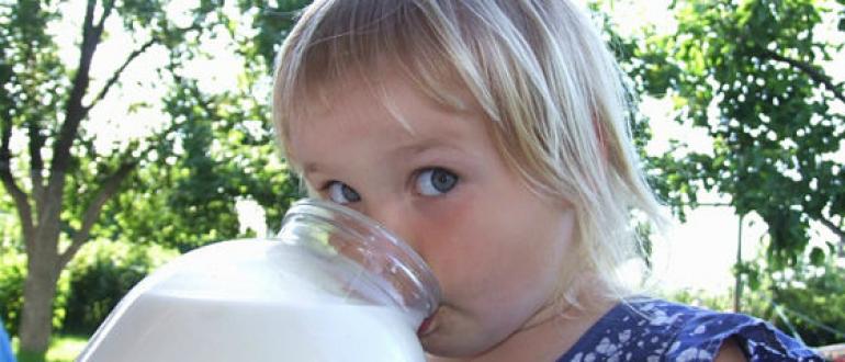 Польза молока - самый вредный миф в современном питании