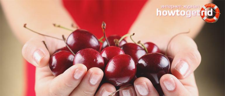 Cherries during pregnancy - benefits and contraindications