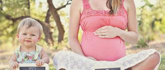 임신 중 여성이 느끼는 것, 주별 태아 발달