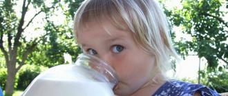 The benefits of milk are the most harmful myth in modern nutrition