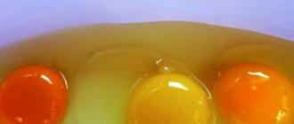 Miért tojnak a csirkék zöld sárgával Miért van a tojásnak sárga fehérje