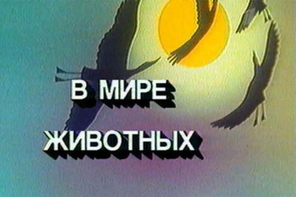 Шадаева попросили вернуть передачу «В мире животных» на телевидение - новости экологии на ECOportal