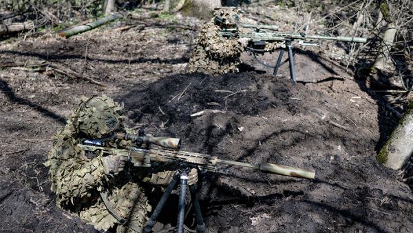 ВС РФ освободили населенный пункт Елизаветовка в ДНР
