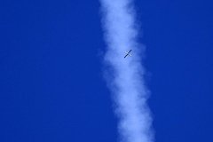 В результате атаки дрона ВСУ в российком регионе пострадал боец «Орлана»