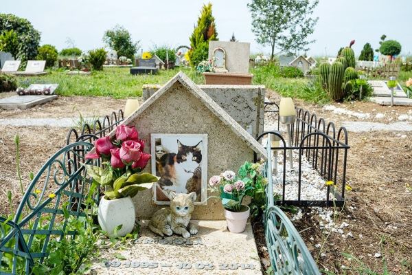 В Италии начнут хоронить собак и кошек вместе с хозяевами - новости экологии на ECOportal